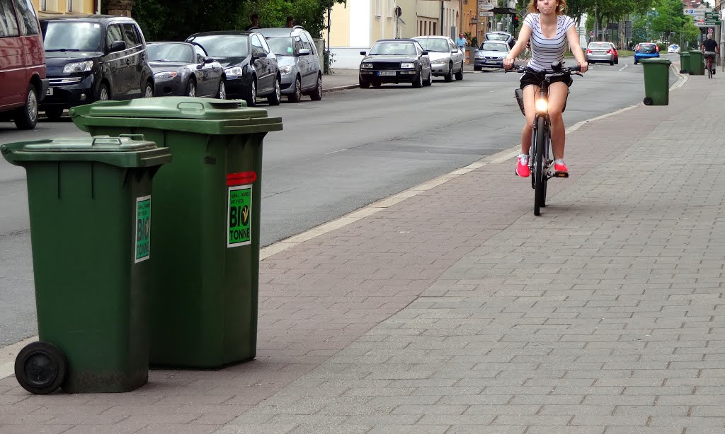 BIO-Tonnen mitten auf dem Radweg by Gaißenpeter