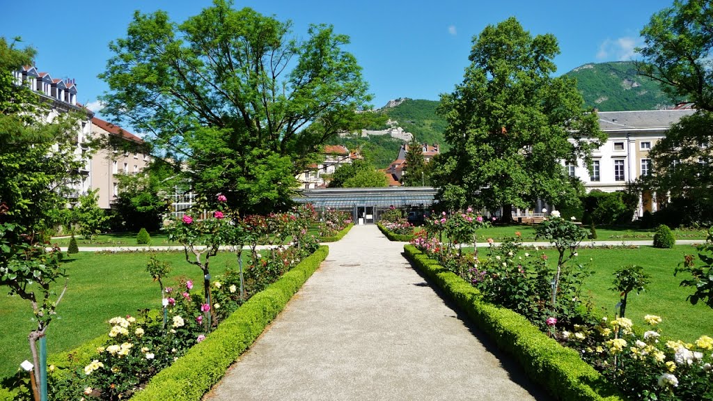 Allée des rosiers au Jardin des plantes à Grenoble. by alxiskaff