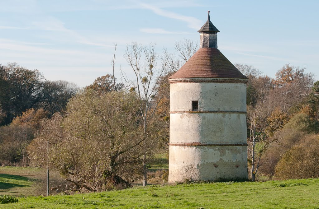 03 THIONNE Colombier du château des Gouttes by Joël Baijard