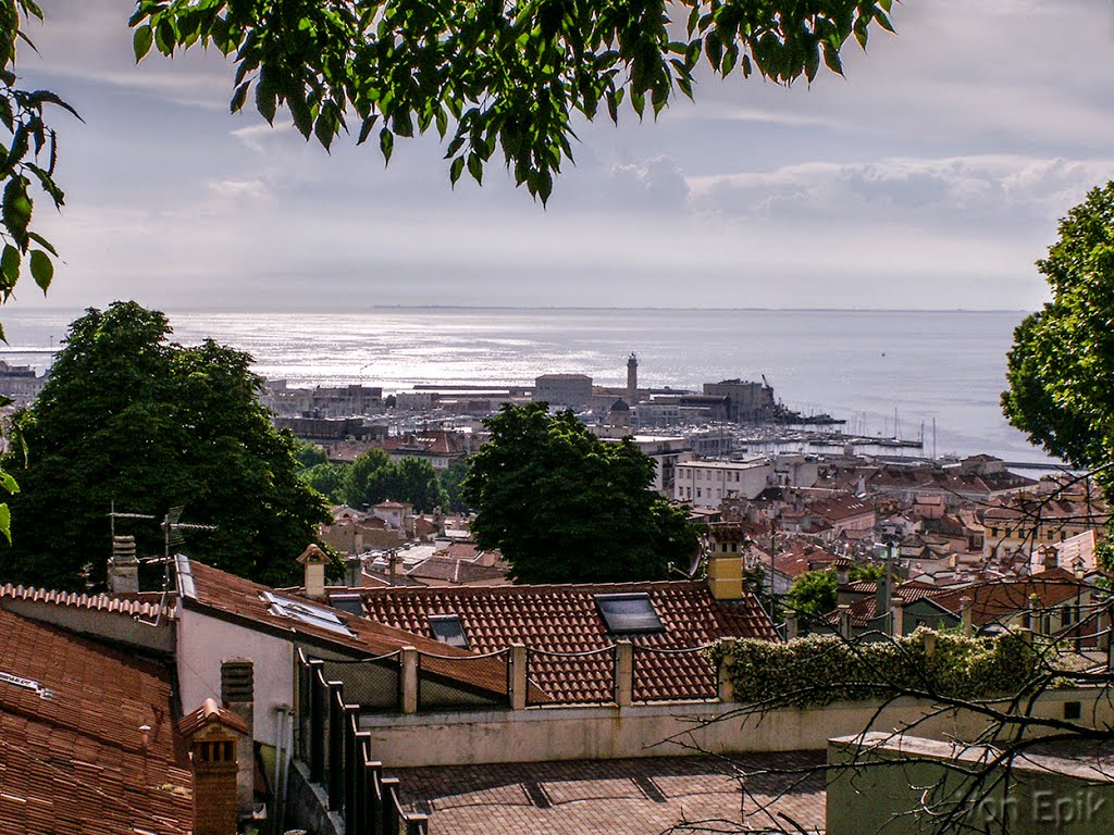 View to Trieste by Von Epik