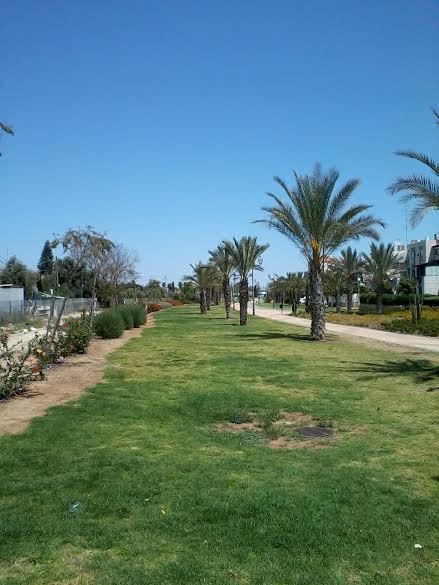 Park in Yavne by papaliel