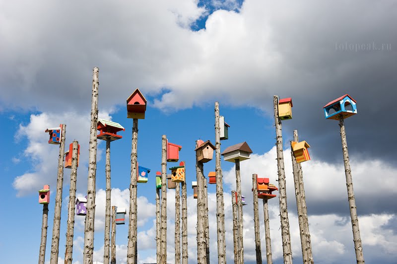 Hveragerdi bird houses by Fotopeak.ru