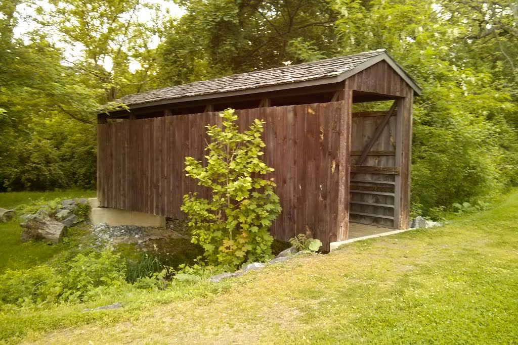 Covered Bridge by mortonfox