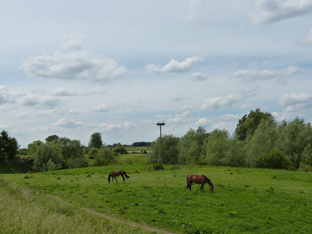 Gewande aan de Maas by pemw