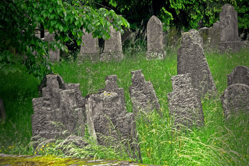 Alter Jüdischer Friedhof, Floß, Oberpfalz, Bayern by aNNa.schramm