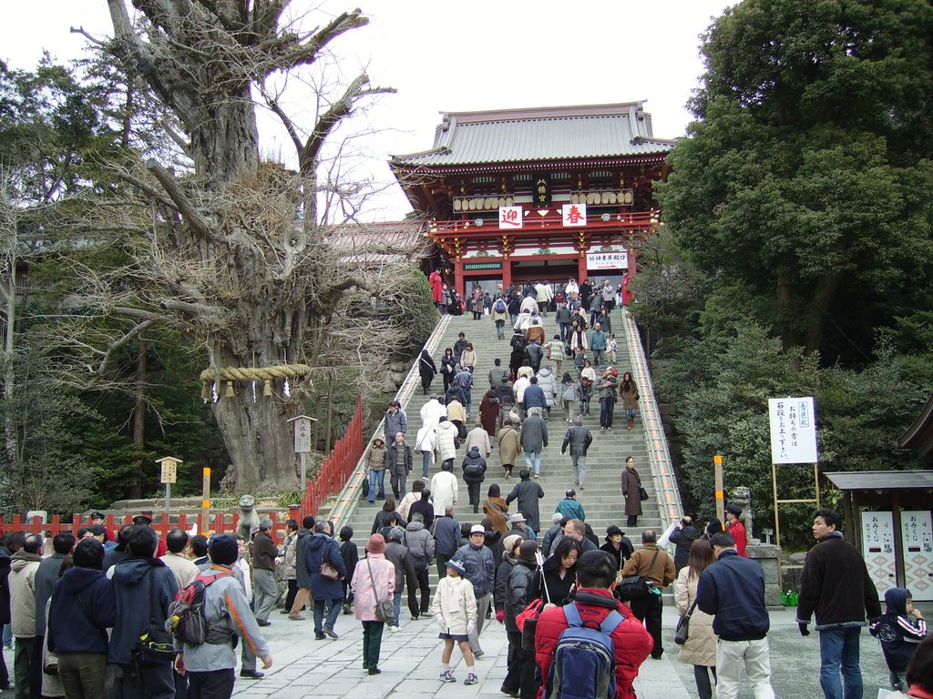 Kamakura shrine by Pirate pete