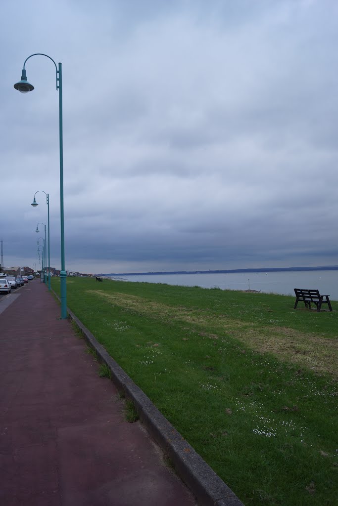 Lights on Marine Parade West by Mike Shields