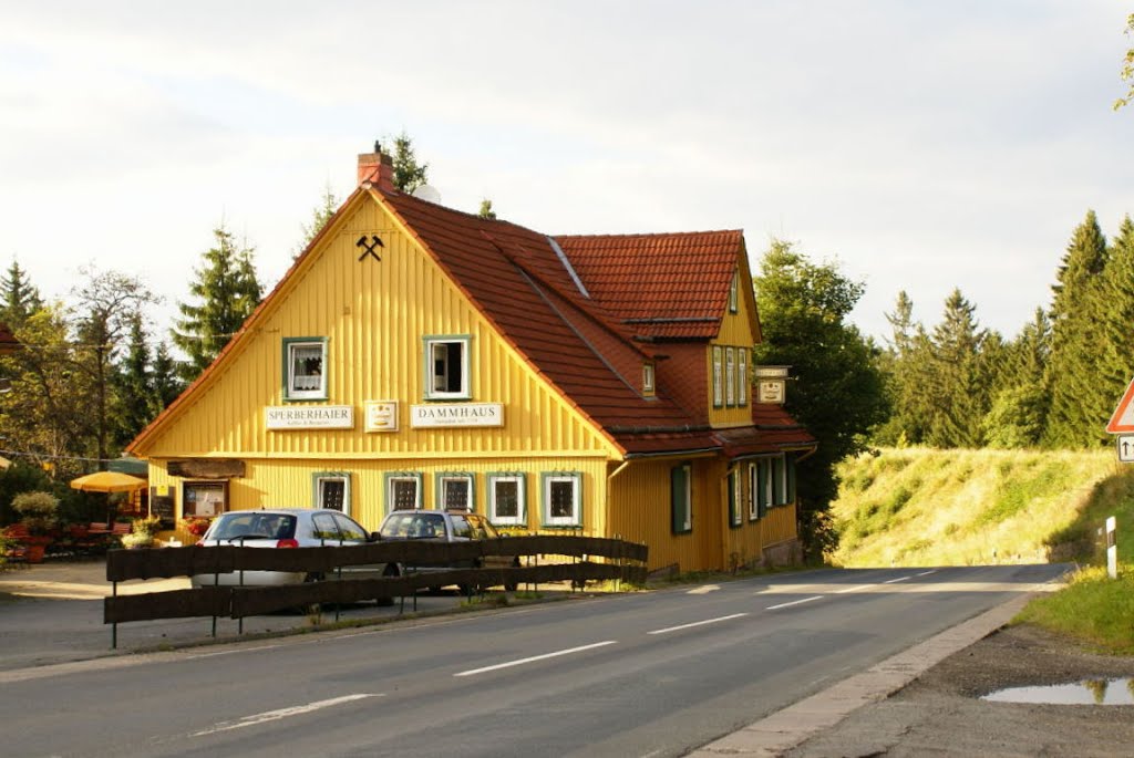 Dammhaus (Harz) by Altmeister