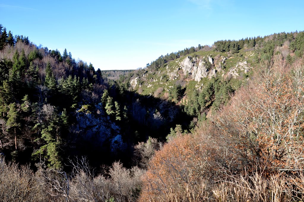 La vallée de la Méjeanne by Erik LEDROIT