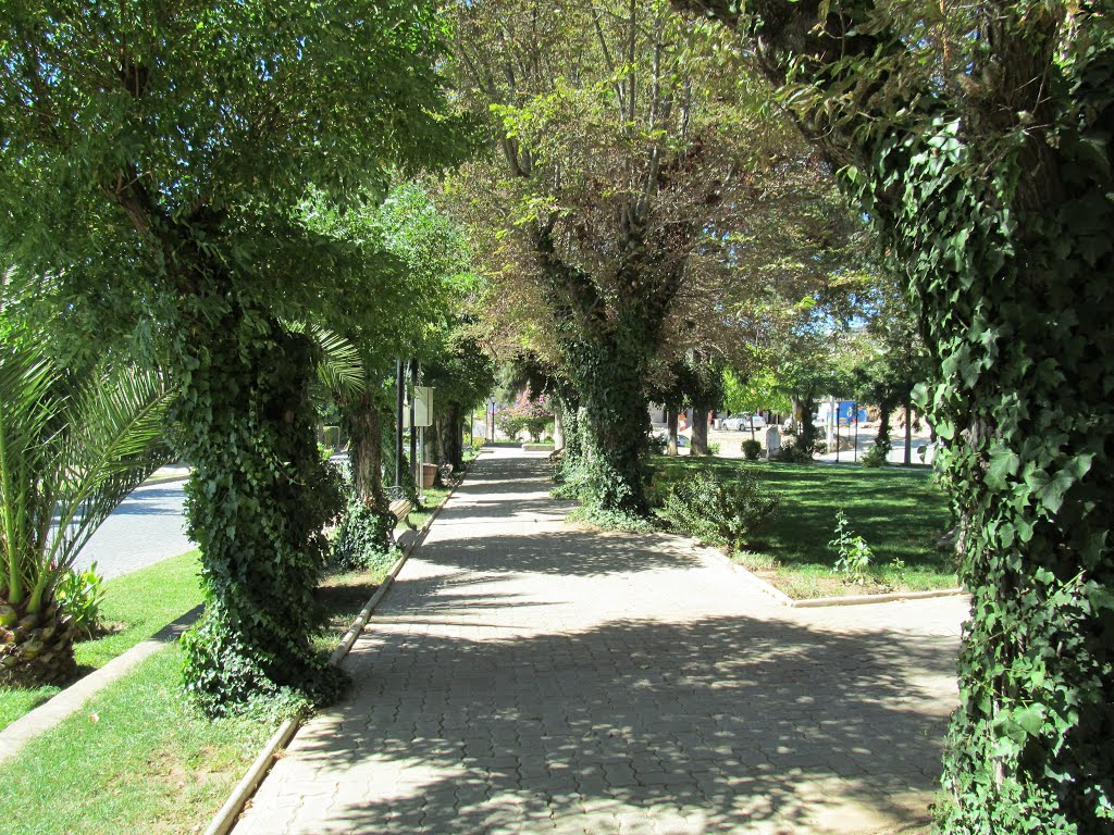 Plaza de Armas by loboaustral