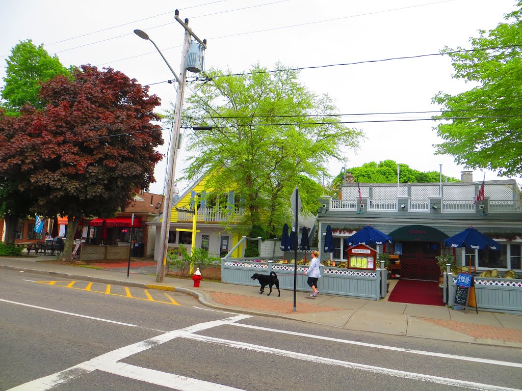 Hyannis, Main street, May 2014 by D.Iv