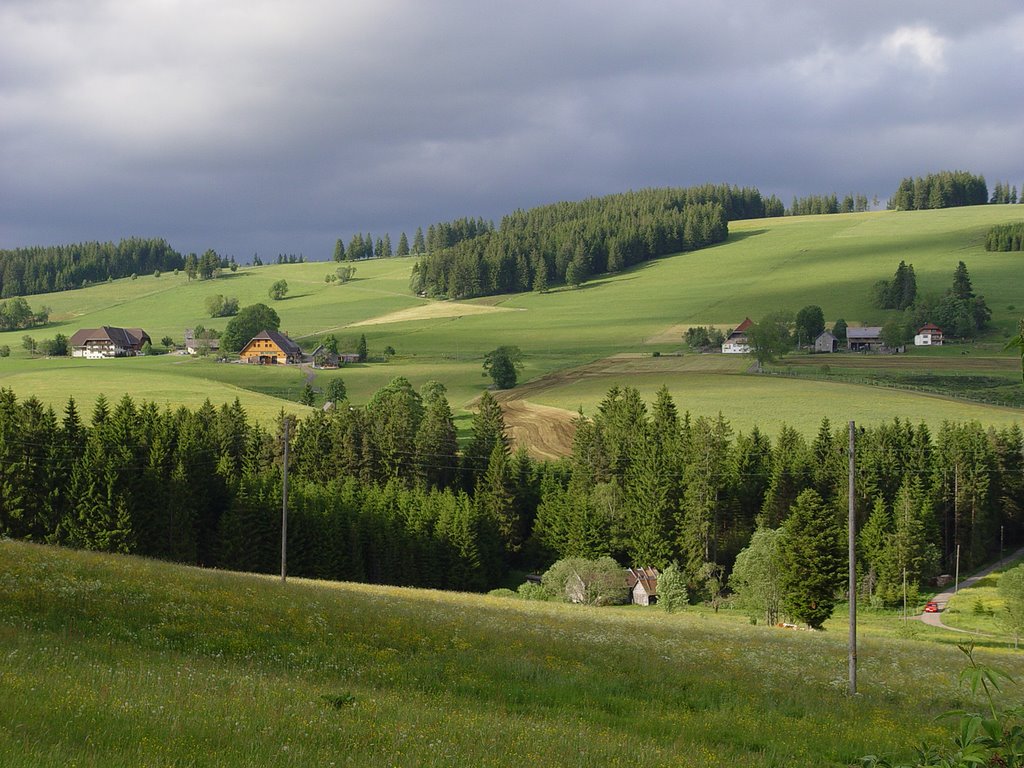 Dark Clouds over Black Forest by Andi.