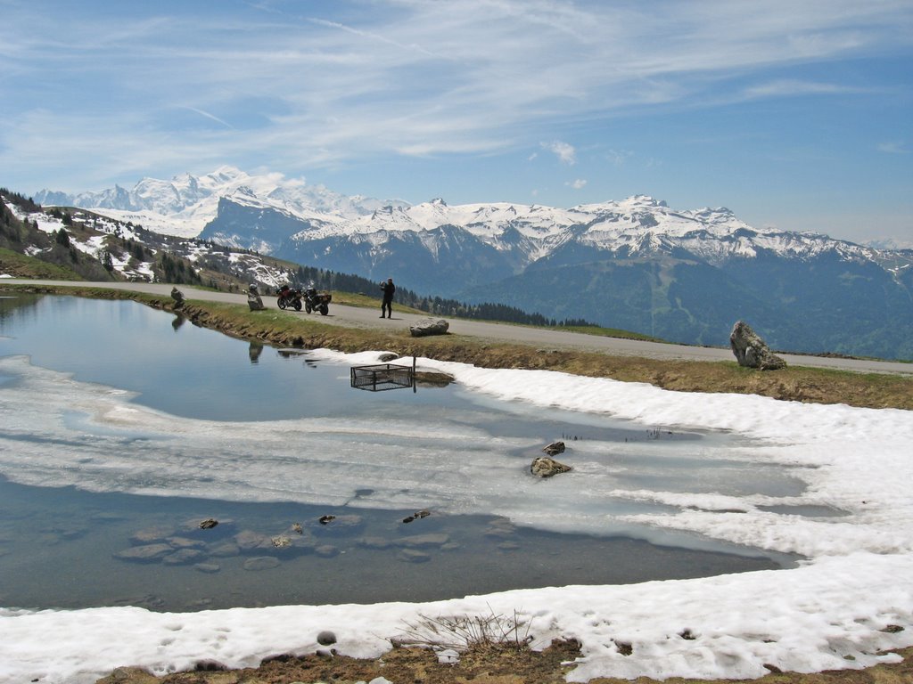 Les chavannes by Wil Kuijpers