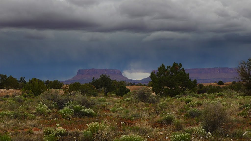 Canyonlands Needlees District by dorothee