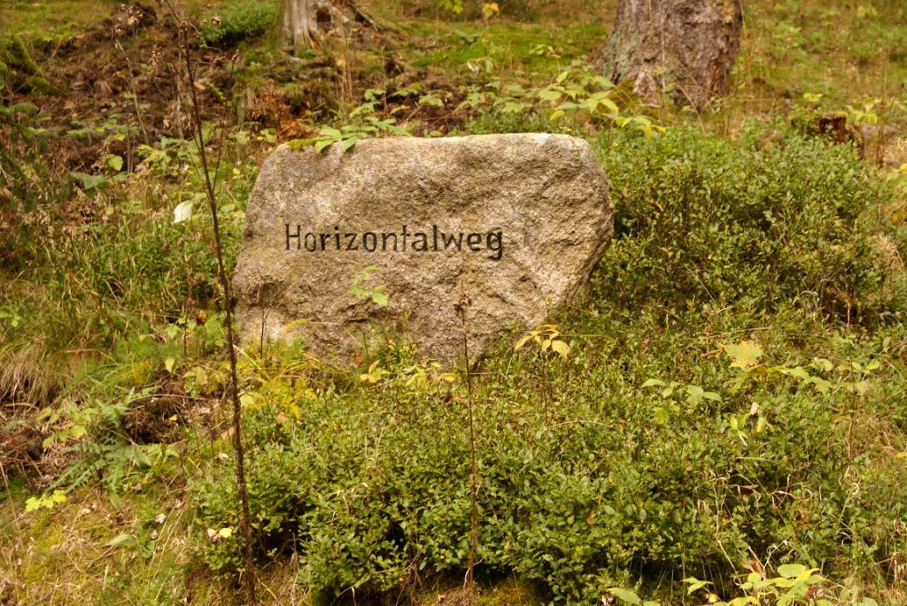 Wegestein am Horizontalweg (Harz) by Altmeister