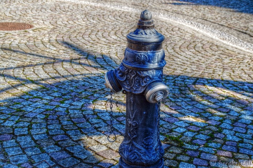 Reich verzierter Hydrant by ☼❄ bergkristall ❆☼