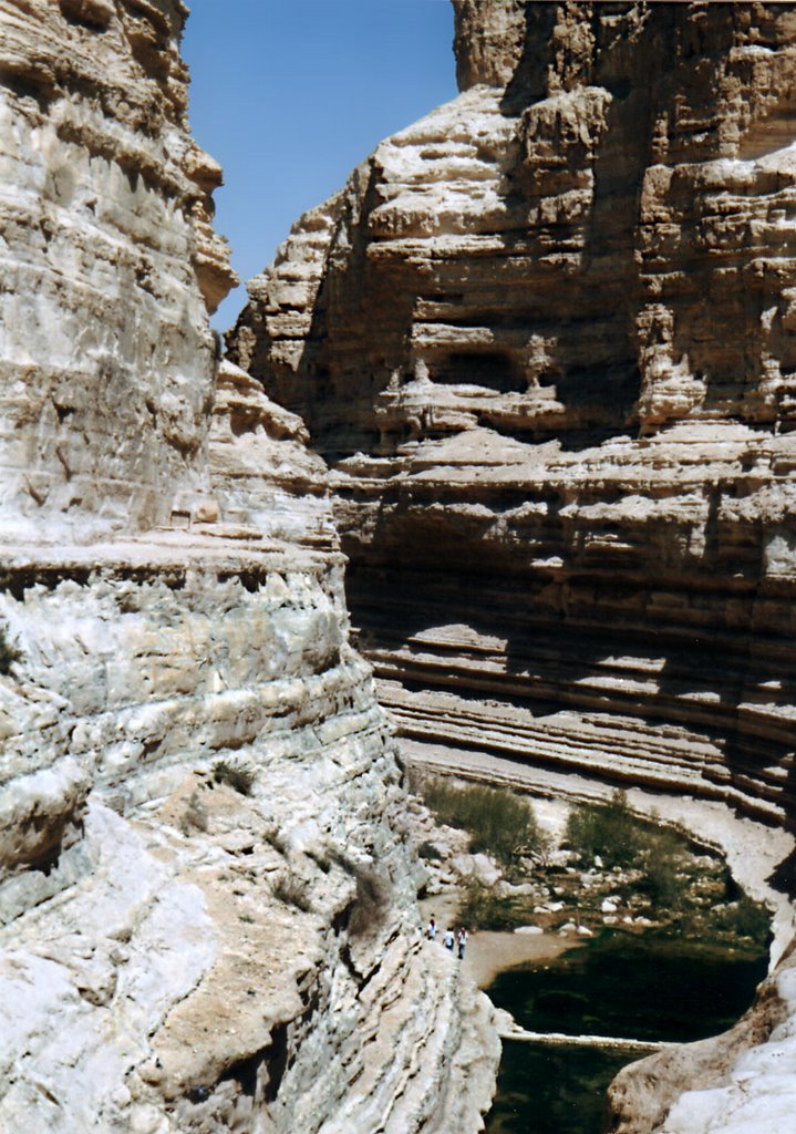 Negev. Ein Avdat Canyon. by nadiakushnir