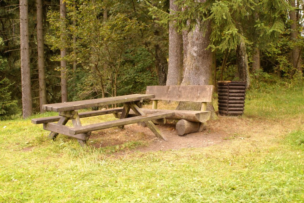 Rastplatz bei Sorge (Harz) by Altmeister