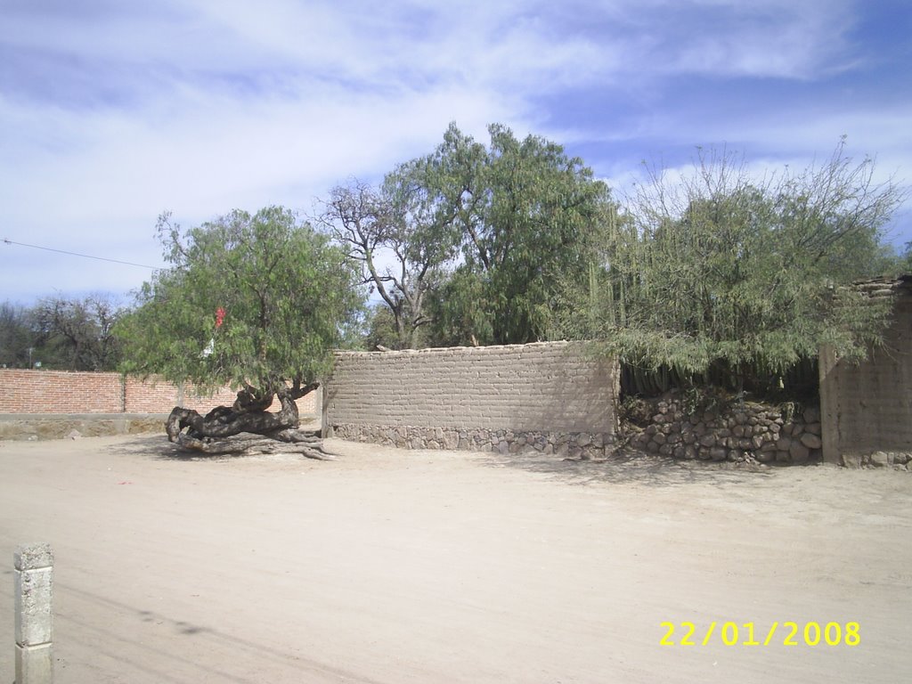 La Sauceda, Gto., Mexico by UlisesRobles