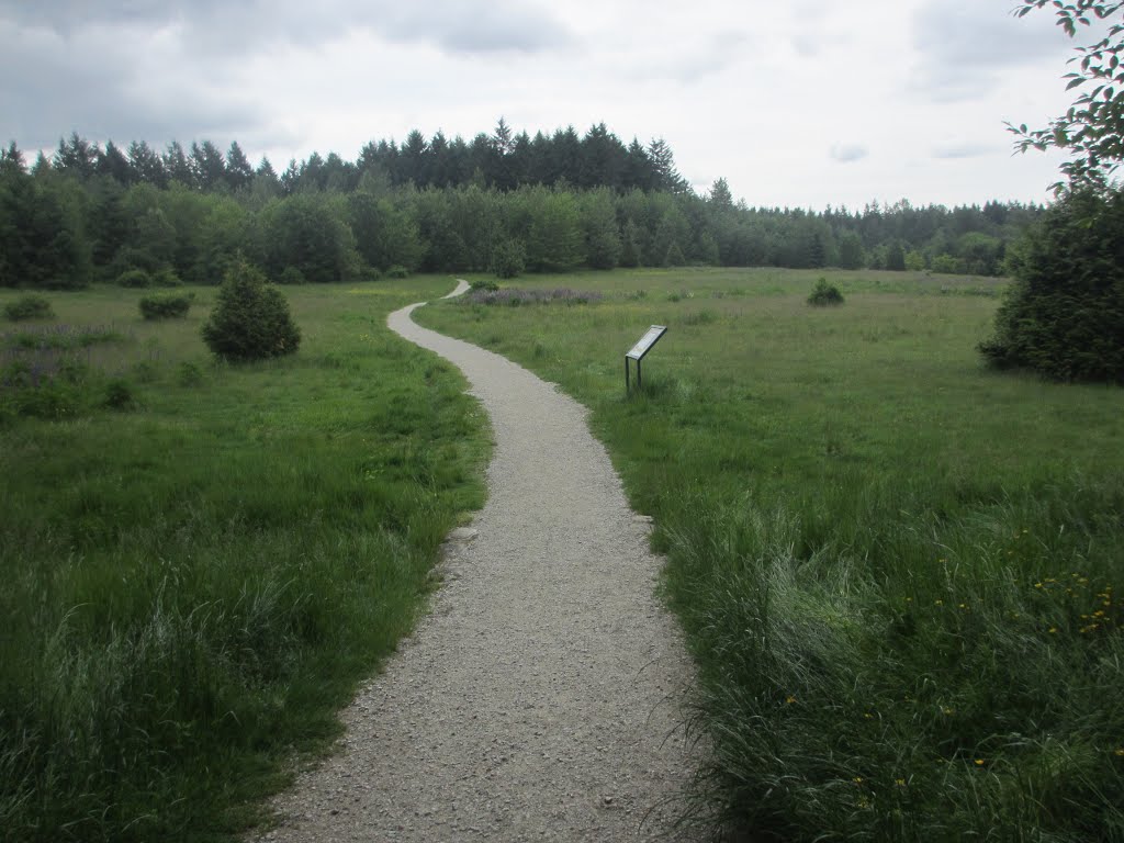 Skyline Trail - Green Timbers by BlueSkyWarhawk