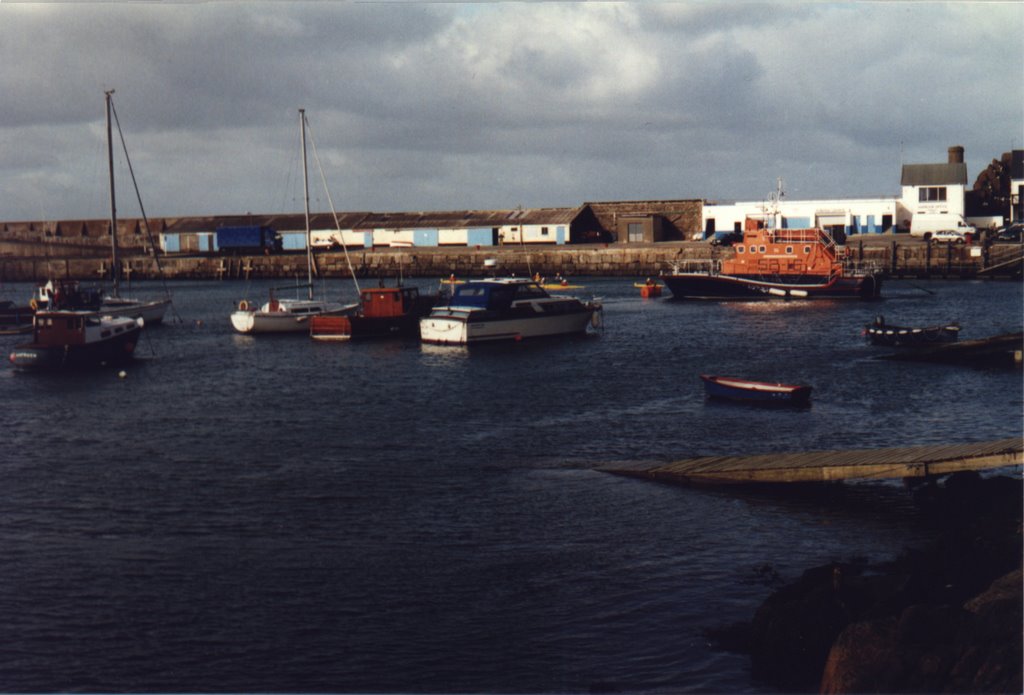 Portrush Harbour with Lifeboat by Len Firewood