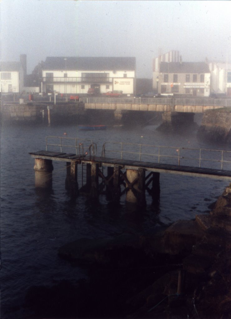 Portrush Harbour by Len Firewood