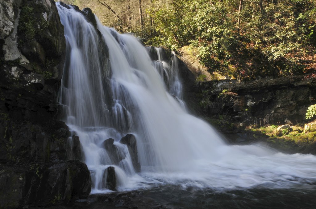 Abrams Falls by JJNich44