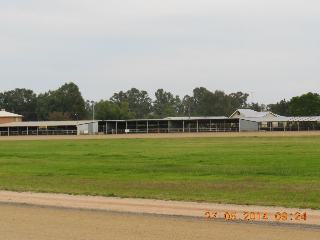 Forbes - Showground Horse Stables - 2014-05-27 by sandyriva