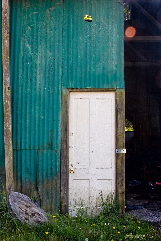 Open Door to Roche Harbor, Washington by aisavery