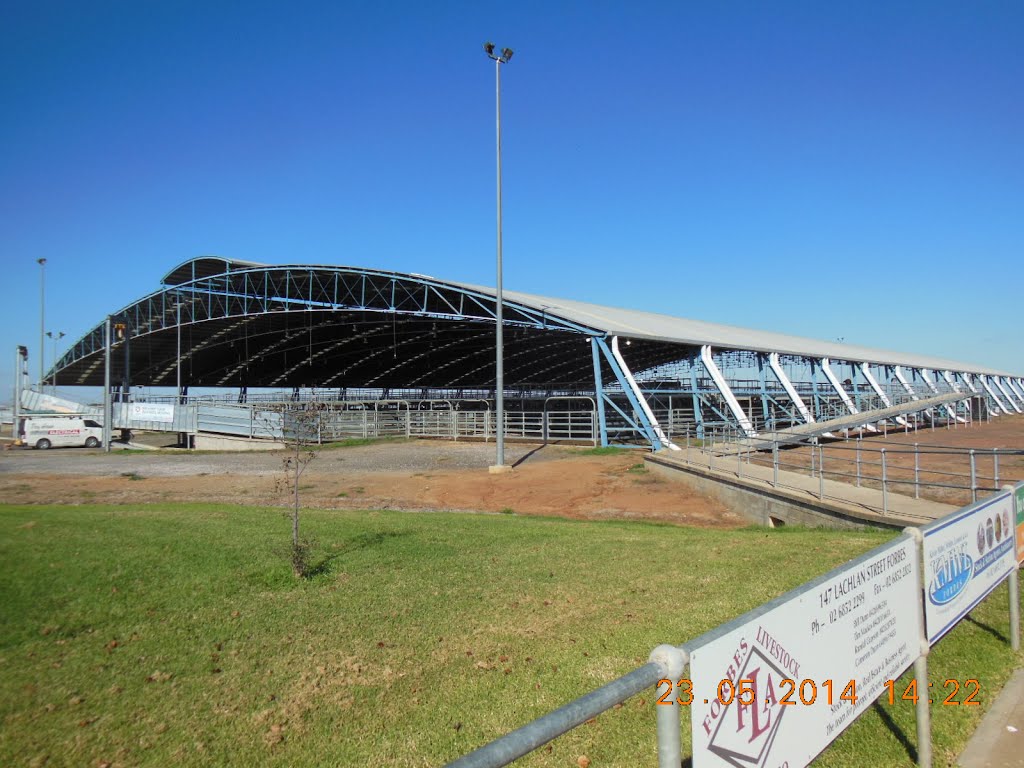 Forbes Central West Livestock Exchange, Cattle Building - 2014-05-23 by sandyriva