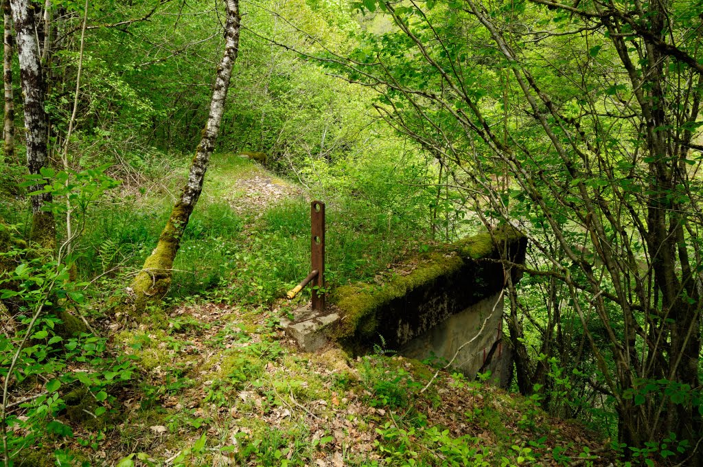 Sur les traces de la ligne d’Eygurande-Merlines à Bort-les-Orgues. by Tireman.