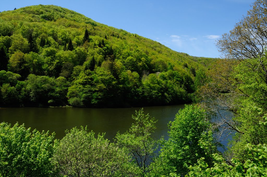 Sur les traces de la ligne d’Eygurande-Merlines à Bort-les-Orgues. by Tireman.