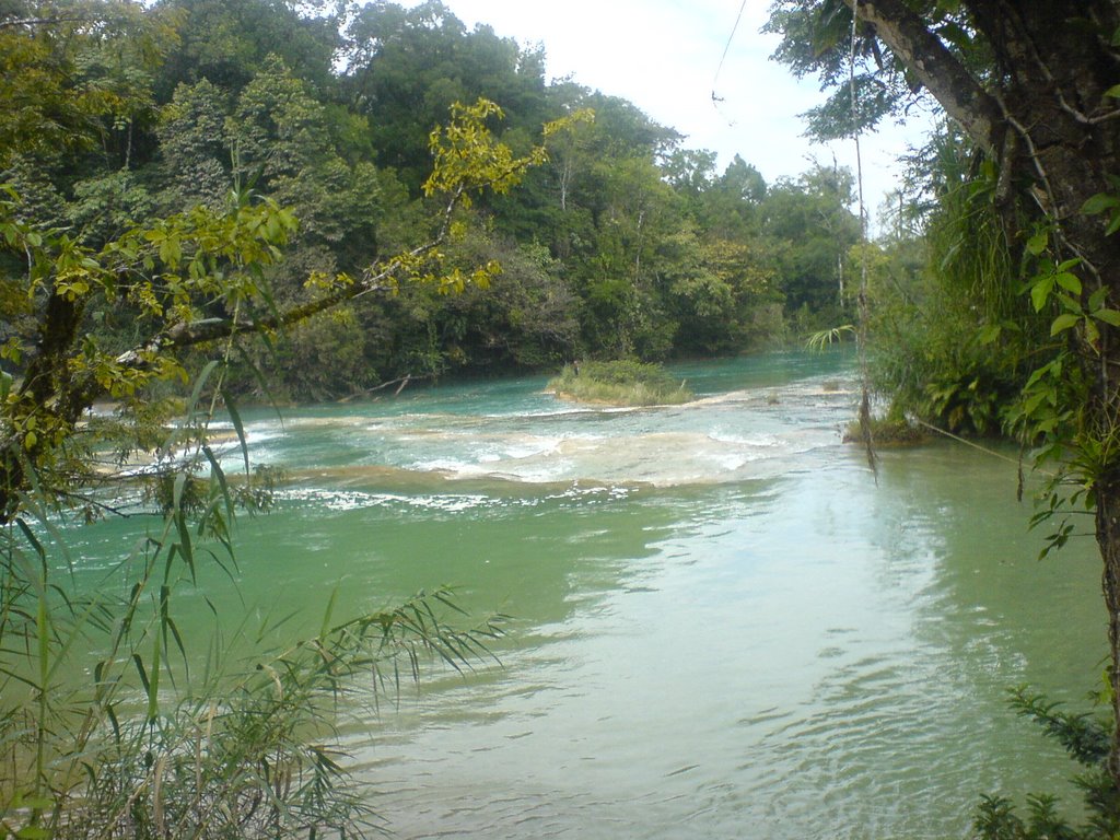 Agua azul by uriel gomez