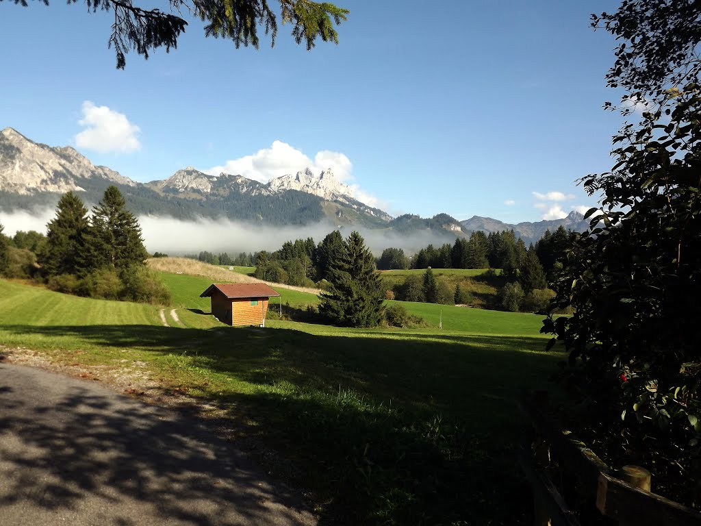 Grän, Tannheimer Alpen, Im Hintergrund Gimpel+Köllenspitze by MaReMü