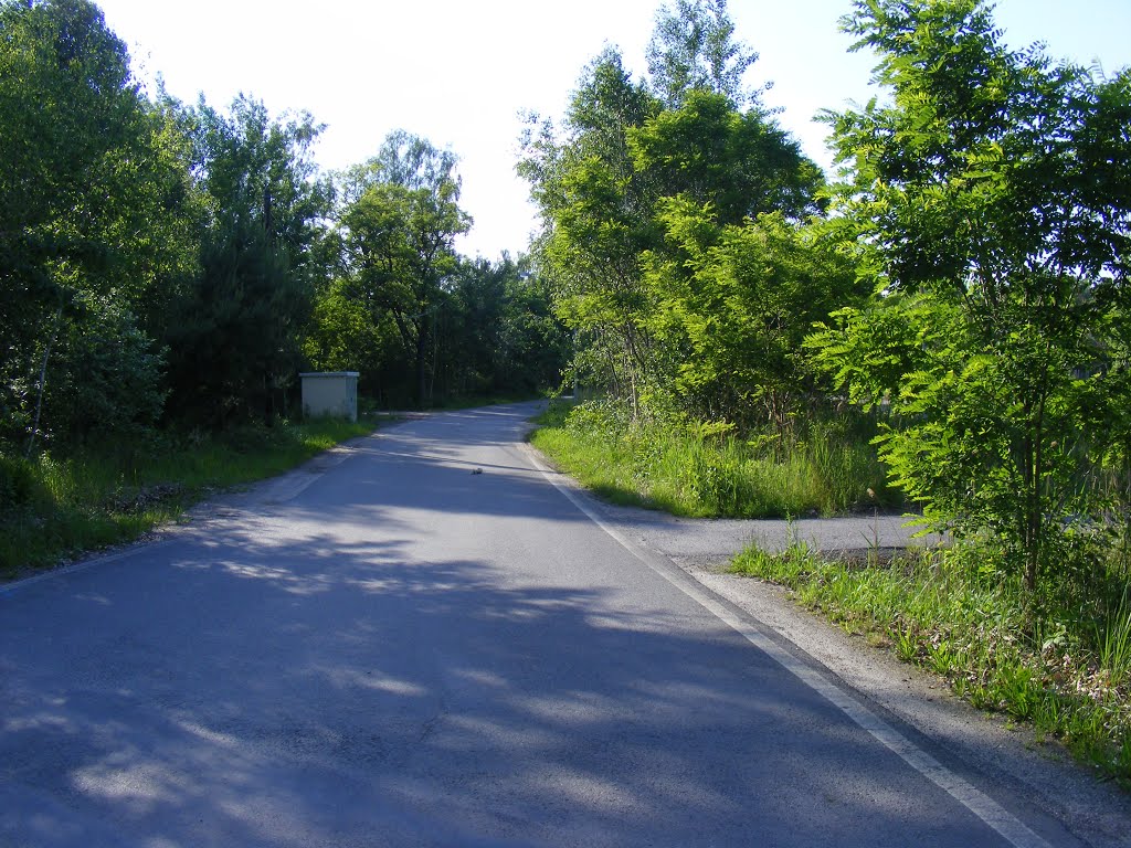 Lauchhammer Nord, Niederlausitz. Koynestraße by velthurvik