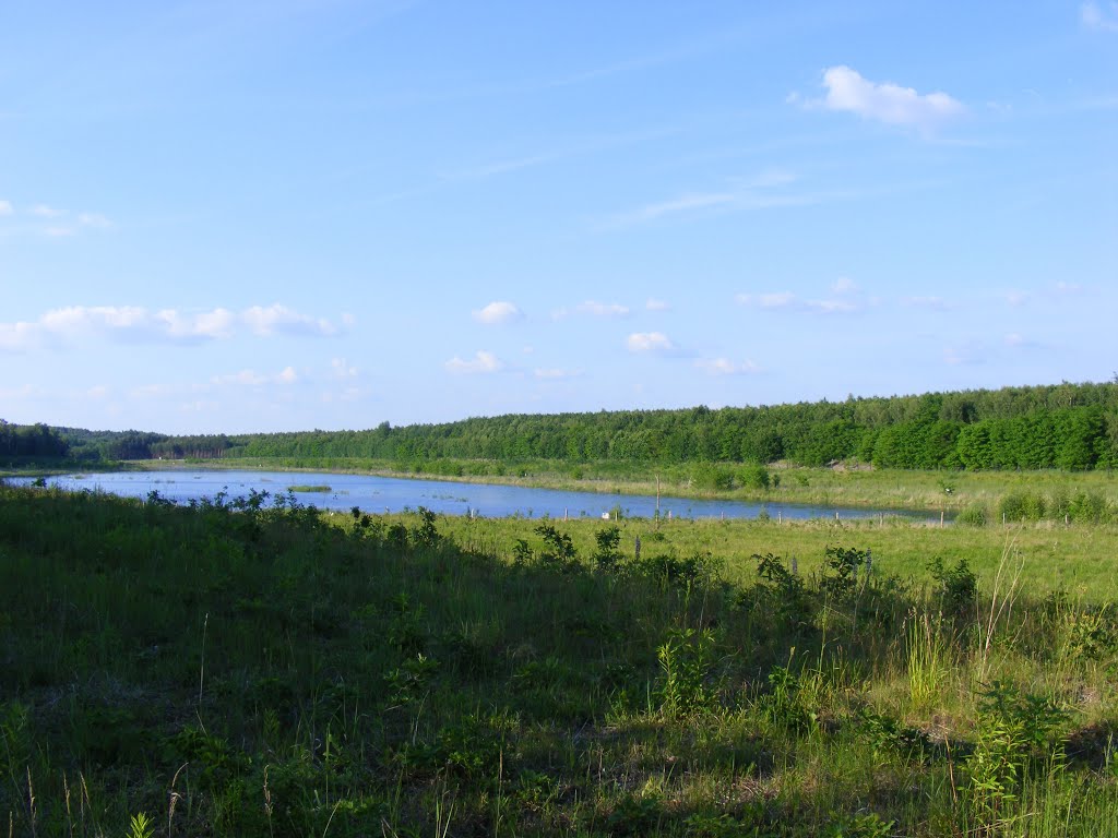 Schmaler See in Koynesee, Lauchhammer Nord, Niederlausitz by velthurvik