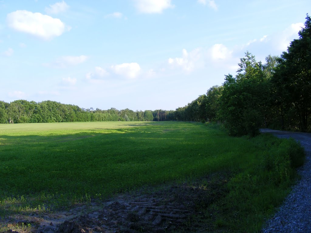 Lauchhammer Nord, Niederlausitz, Deutschland. Wiese neben dem Kleinleipscher Strandbad by velthurvik