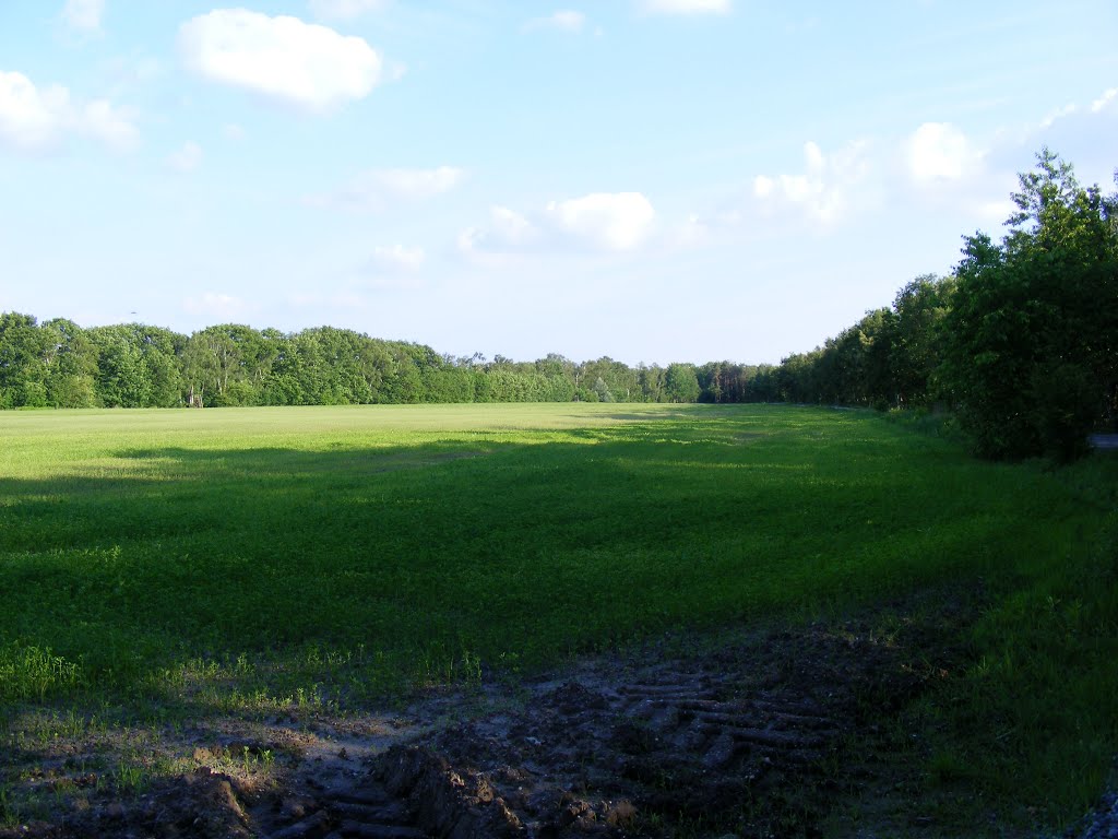 Lauchhammer Nord, Niederlausitz, Deutschland. Wiese naben den Kleinleipscher Strandbad by velthurvik