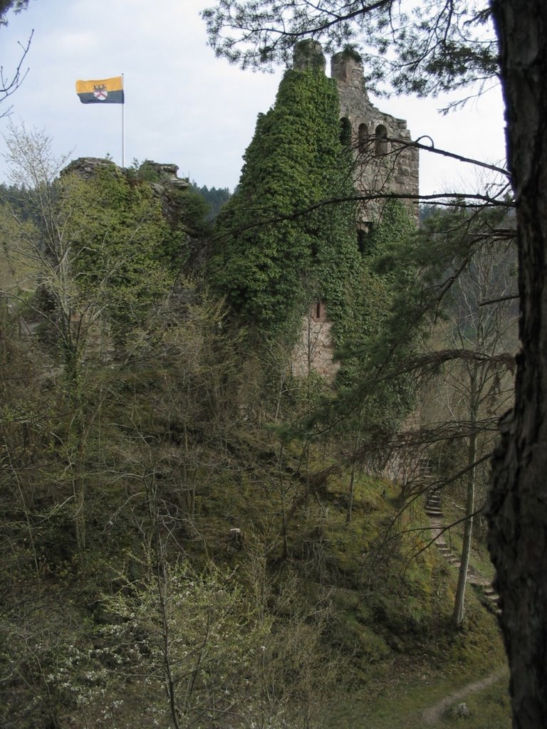 Schenkenburg bei Schiltach by Bernd Johannes