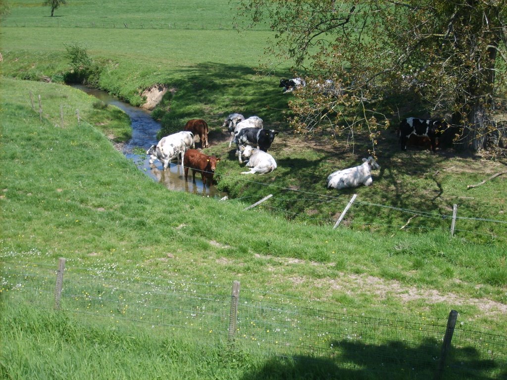 South Limburg by 1954rvp