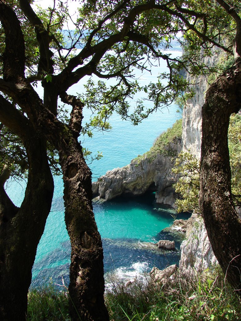 Acantilados Monte Buciero (Santoña,Cantabria) by laura&paula