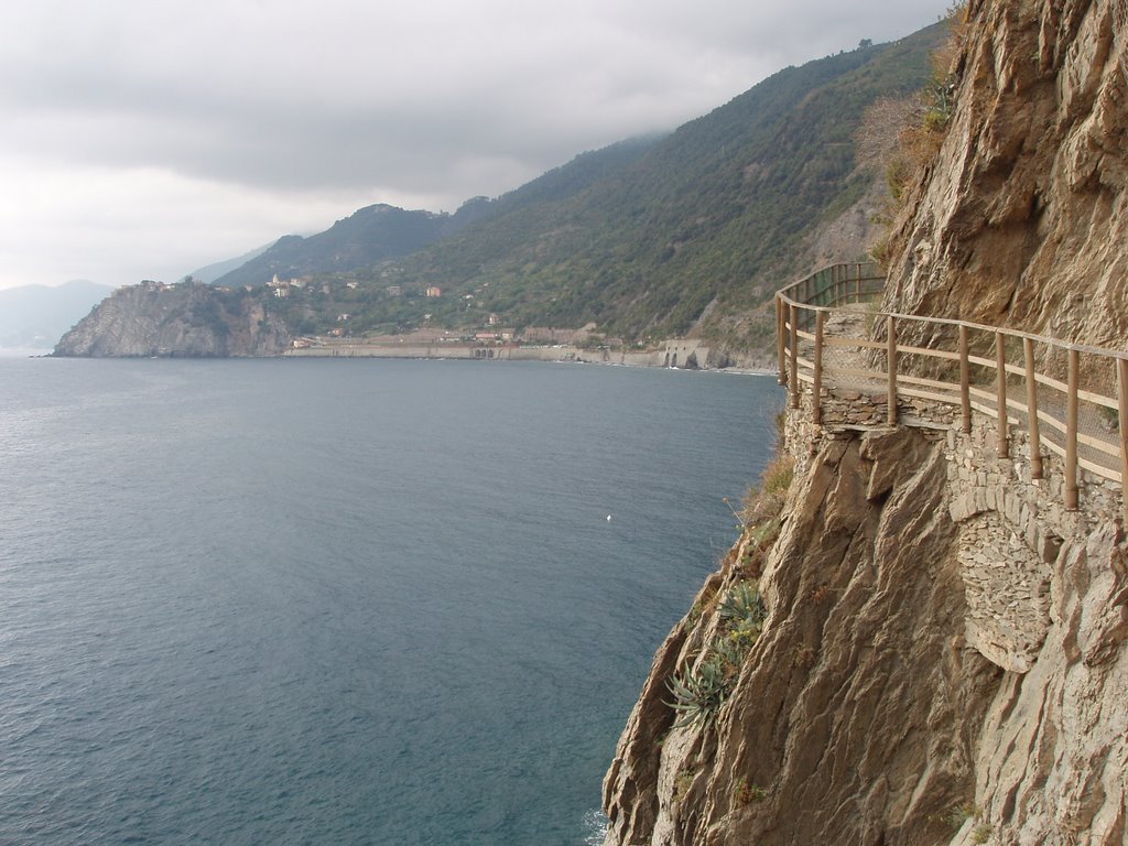 Manarola by sermarc