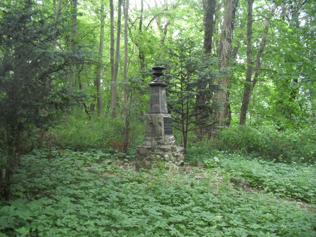 Wolgast - obelisk w parku by piotr-56