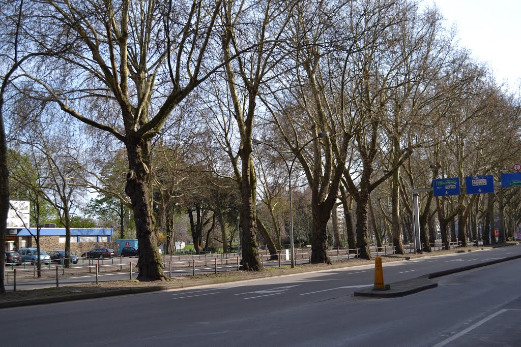 Boulevard d'Avroy, Liege by Pogromca Gašnič