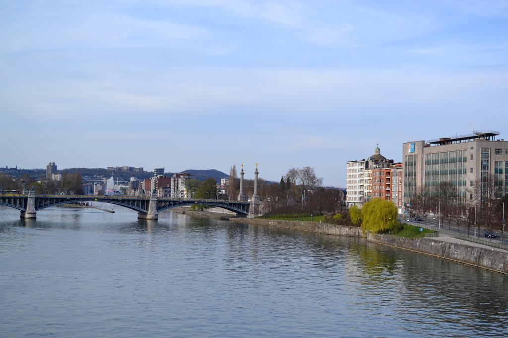 La Meuse, vue depuis le train by Pogromca Gašnič