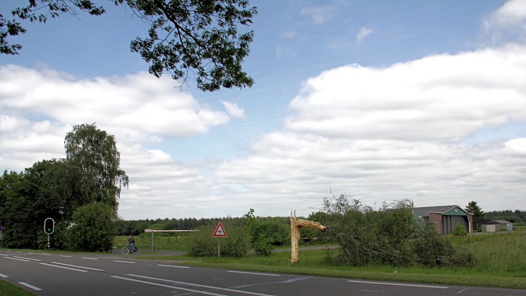 Lightning hit tree @ Gilze 14 may 2014. Bliksem inslag Mei 2014 by benny bruch