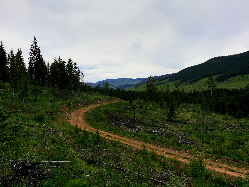 Rocky Mountains by justast