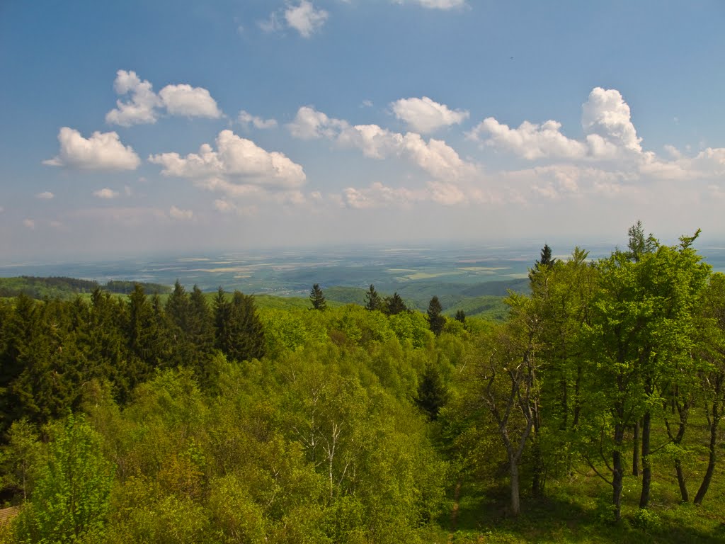 Blick nach Ungarn, Warte Geschriebenstein by gerhard weiss