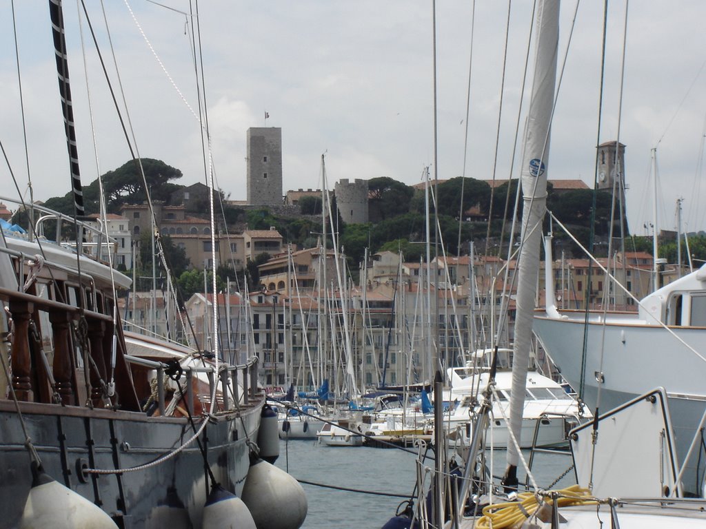 Port de Cannes by Phil M