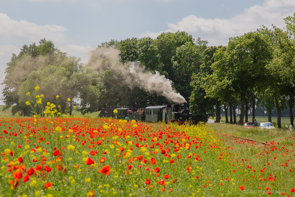 Fahrt durch blühende Landschaften by my.carpool